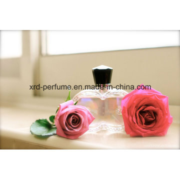 Bom preço de fábrica personalizado Design de moda Perfume